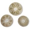 Set of 3 Wall Hanging Seagrass Basket | Shallow Handwoven Decorative Baskets for Home