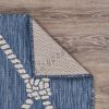 Home Decor Indoor/Outdoor Accent Rug --Natural Classic Pattern Design