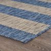 Home Decor Indoor/Outdoor Accent Rug --Natural Classic Pattern Design