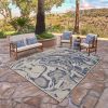 Home Decor Indoor/Outdoor Accent Rug --Natural Classic Pattern Design