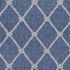 Home Decor Indoor/Outdoor Accent Rug --Natural Classic Pattern Design