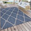 Home Decor Indoor/Outdoor Accent Rug --Natural Classic Pattern Design