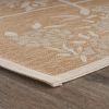 Home Decor Indoor/Outdoor Accent Rug --Natural Classic Pattern Design