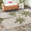 Home Decor Indoor/Outdoor Accent Rug --Natural Classic Pattern Design