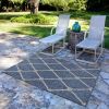 Home Decor Indoor/Outdoor Accent Rug --Natural Classic Pattern Design